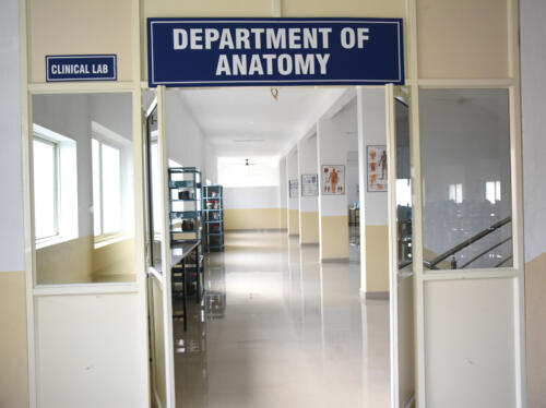 Department-of-Anatomy